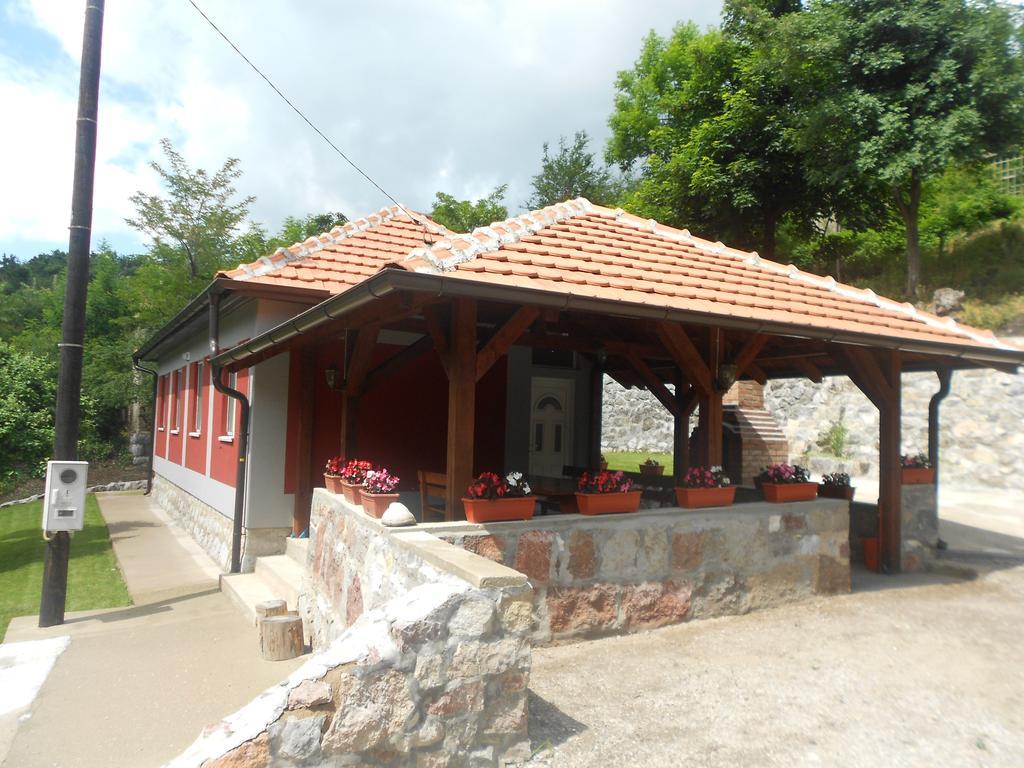 Vila Vikendica Rtanj Pokoj fotografie
