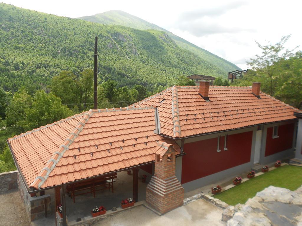 Vila Vikendica Rtanj Pokoj fotografie