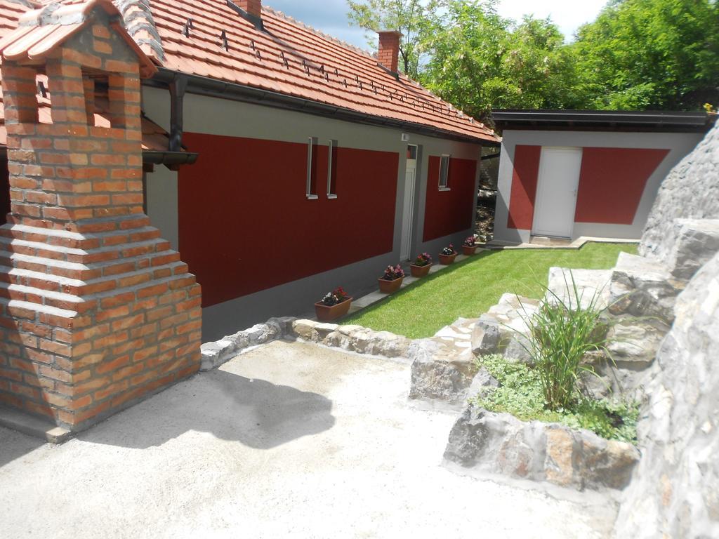 Vila Vikendica Rtanj Pokoj fotografie